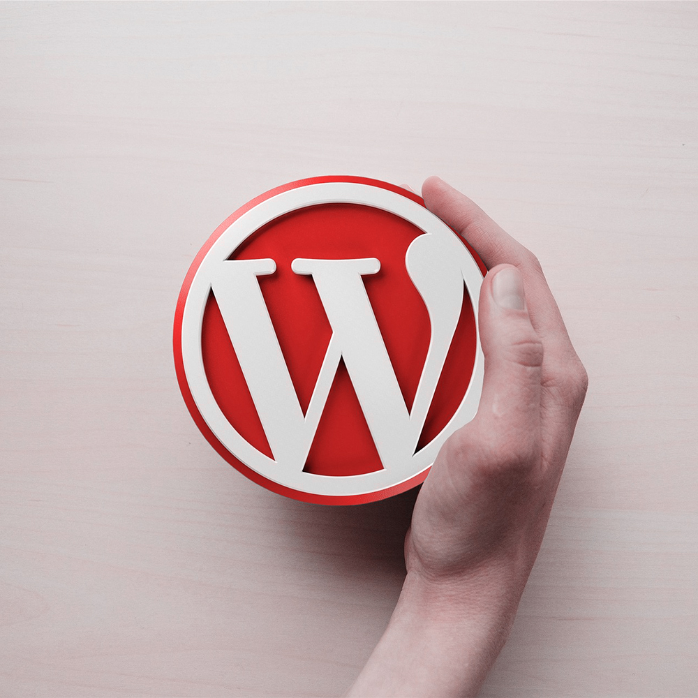 WordPress Website Designing Services in Canada